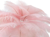 Decorative Table Lamp 30PCS Feathers USB Rechargeable Light Touch Control Desk Light Built in V1294-YM0901-3119230088512