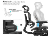 High Back Ergonomic Mesh Office Chair V957-MS-8239-HIG