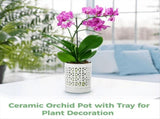 Orchid Pot with Holes Ceramic Plant Pots Outdoor Indoor Flower Pots for Repotting with Drainage and V1370-AZ4-10510