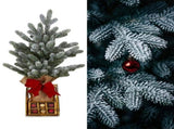 Christabelle 45cm 1.5ft Snowy Potted Christmas Tree Decorations Gift Pack Hessian Red Gold Baub 112_HZ702