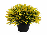 UV Treated 20cm Small Potted Plants Bundle V637-DP1190646