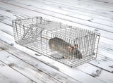 Trap Humane Possum Cage Live Animal Safe Catch Rabbit Cat Hare Fox Bird V63-833601
