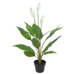 Artificial Flowering White Peace Lily / Calla Lily 95cm V77-1128560