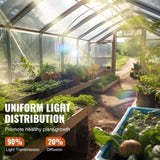 Greenhouse Plastic Sheeting 10 x 40 ft 6Mil Clear Polyethylene Film V952-TMWSM1040YCT9JGE8V0