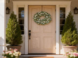 22 Inch Spring Summer Lamb Ears Leaves Wreath with Ivory Forsythia Flower, Year Round Greenery V1258-DP02-C-2647
