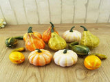 12 Pcs Artificial Pumpkins and Gourds Set, Small Faux Foam Pumpkins Artificial Vegetables for V1188-ZC-LHJ-12