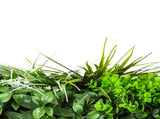 Premium Urban Greenery Artificial Vertical Garden / Fake Green Wall UV Resistant 1m x 1m V637-DP1006591