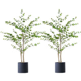 SOGA 2X 150cm Green Artificial Indoor Watercress Tree Fake Plant Simulation Decorative APLANTFHSC1503X2