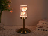 Dandelion Grass Eternal Flower Acrylic Table Lamp - Color-Changing LED, USB Rechargeable, Touch V888-ELOSUNG21683