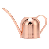 Watering Can for House Bonsai Garden Flower Outdoor Indoor Plants Long Spout Pot Stainless Steel V1294-YM0626-3111220315711
