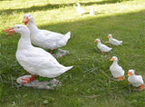 Garden Decoration Synthetic Resin Animal Ornament, Non-Toxic and Safe Duck Statue, Flexible V1366-AZ2-W-20031