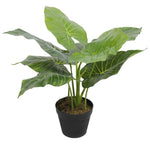 Artificial Potted Taro Plant / Elephant Ear 55cm V77-1158143