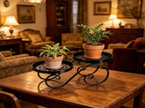Double Tier Floor Standing Wrought Iron Flower Stand, Rustproof Hollow out Plant Display Rack V1192-AZ-W-20104