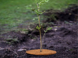 Coconut Fiber Mulch Ring 13.77 Inch Tree Protector Mat Plant Cover Ring for Nurseries Gardens V1294-YM0901-210329AH0249