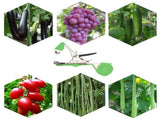 Garden Plant Tying Machine Branch Tape Tool for Vine, Tomato, Cucumber, Grape & Floral Support V1192-AZ-W-3063