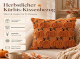 2 Pack Pumpkin Cushion Covers Caramel Autumn Decorative Pillow Cases for Sofa Couch Fall Decoration, V1237-ZY-917-174