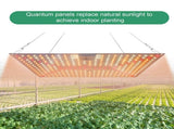 LED Plant Lamp 50W Full Spectrum Plant Grow Light High Brightness Succulent Fill Light for V1294-YM0901-L6913UK-2