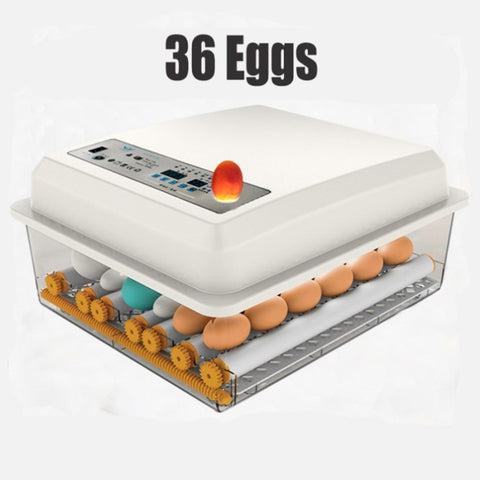 36 Egg Incubator Fully Automatic Digital Thermostat Chicken Eggs Poultry V201-EGG0236WH8AU