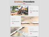 V-Cut Grafting Tool, Labor Saving Fruit Tree Grafting Cutter V1265-AU-282
