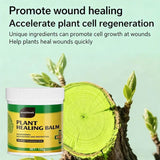 3Pack Tree Wound Sealer & Dressing, 150g Tree Pruning Sealer for Cut, Damaged Bark, Grafting V1107-119-84772-GRN-3PACK