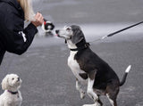 Stainless Steel Nylon Chain Martingale Collar Comfort Heavy Duty Large Dog Collar Escape Perfect for V1258-DP02-F-546