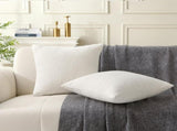 18" x 18" Decorative Throw Pillow with Inserts, Set of 2 Soft Textured Boucle Throw Pillows, Square V1258-DP02-C-3206