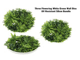 Two 50cm and One 75cm Flowering White Disc Bundle V637-DP1194116