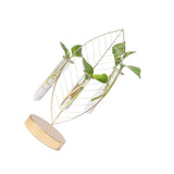 White Iron Flower Planter Glass Vase for Home and Office 1Pc V1370-AZ4-23552