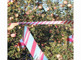 10Pcs Bird Repellent Ribbon Double Side Tape - Silver&Red V1263-JX-925