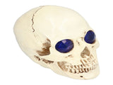 Skull Ornaments Vivid Lightweight Easily Clean Add Horror Ambience Halloween Props for Party Haunted V1294-YM0714-3115210185211