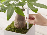 Aquameter, 5pcs, Plant Soil Moisture Sensor,House Plant Soil Moisture Meter, for Indoor Potted V1370-AZ4-08288