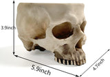 Halloween Skull Flower Pot Planter, Retro Human Skull Head Shape Succulent Container Box for Home V1237-ZY00B07K9M87RM