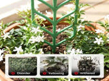 Plant Trellis for Climbing Plants, Indoor Outdoor Plastic Garden Trellis, Adjtable Potted Plant V1258-DP02-F-404