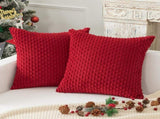 Holzlrgus Fall Set of 2 Striped Textured Velvet Corduroy Decorative Europe Sham Seasonal Autumn V1189-WXFWAL-20260319-01286