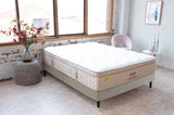 Elite Visco Mattress Medium Queen V1093-MFELIVISMEDQM