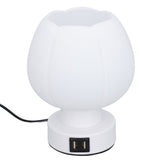 Table Lamp Touch Control 3 Brightness Levels 3000K Warm Light E26 Bulb Holder with Dual USB Ports V1294-YM0901-3119240097511