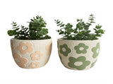 Set 2 Assorted Pastel Flower Planters w Hole Plug 17cm V637-88740PLN