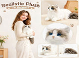 19.69 Inch Ragdoll Cat Plush Toy, Realistic Simulation Feline Stuffed Animal with Blue Eyes for V1370-AZ4-15610