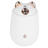Facial Steamer Portable White Nano Thermal Spray Humidifier Skin Humidifier V1294-YM0901-3113210176111