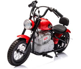 Single Rider Cruiser Bike 36V V377-364647