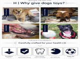 3-Piece Big Dog EVA Floating Dog Ring Toy Set Interactive Tug-of-War Ring and Water Frisbee, V888-ELOSUNG50262