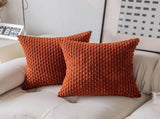 Holzlrgus Fall Set of 2 Striped Textured Velvet Corduroy Decorative Europe Sham Seasonal Autumn V1189-WXFWAL-20260319-01283