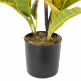 Artificial Potted Flaming Zebra 55cm V637-DP1158149