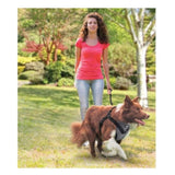 L Dog Harness 2 in 1 Combo - Car Travel Rides + Walks - No Pull Leash Seat Belt V238-SUPDZ-31702574563408