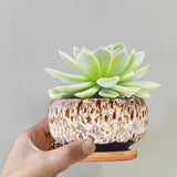 3.94 Inch Round Ceramic Succulent Planter Pot with Drainage Hole, Glazed Shallow Cute Indoor Pot for V1369-AZ3-W-15047