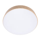 Modern LED Ceiling Light Minimalist Round Ceiling Lamp Fixture with Remote 3 Color Temperature V1294-YM0901-3119240144811