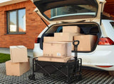 250KG Load Capacity 300L Large Capacity Heavy Duty Foldable Beach Car - All-Terrain Foldable V1102-HELYC-001