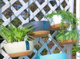 Hanging Double Chain Hanging Basket Planter Home Balcony Indoor Automatic Water Absorbing Basin V1294-YM0626-230208LD01-2