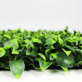 Jasmine Hedge Screen Green Wall Panel UV Resistant 100cm x 100cm V637-1004628