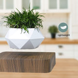 GOMINIMO Magnetic Levitating Plant Pot Dark Brown Base V227-3720101000141